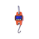 Digitale Wildwaage bis 300 kg.